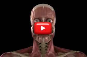 PODER CEREBRAL (Episodio 1)